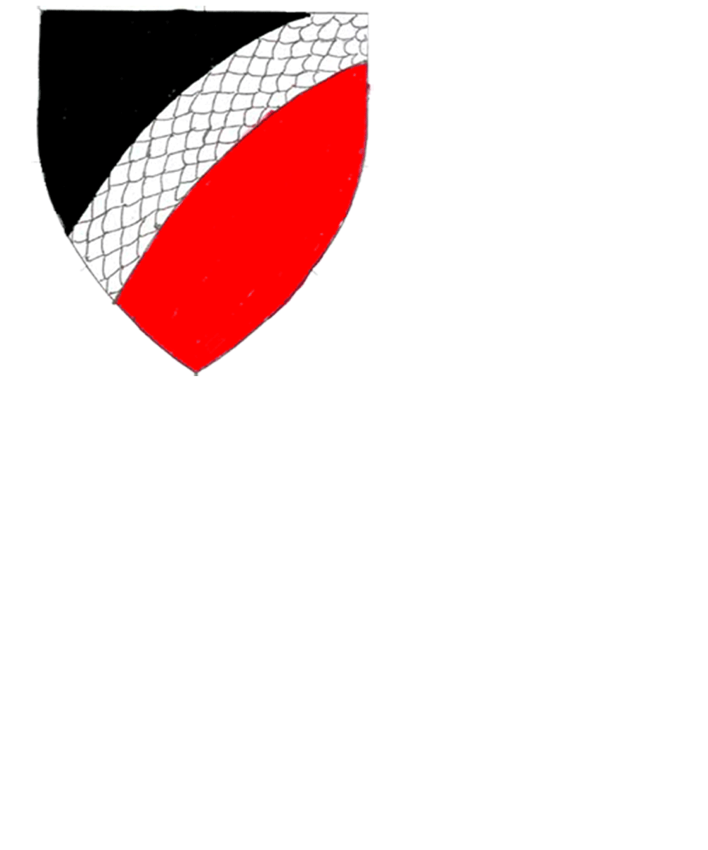 The arms of Cormac Ó Duinn