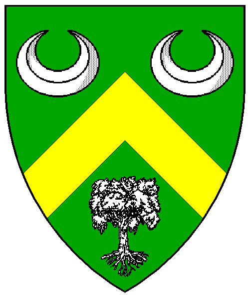 The arms of Derdriu ingen Raghnaill Gráig na Manach