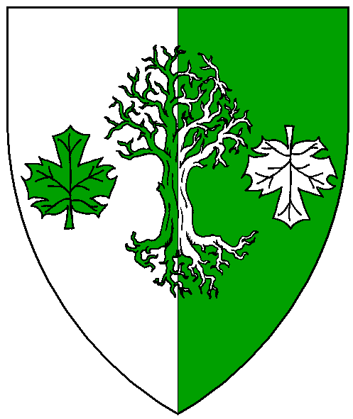 The arms of Fergus MacCarlich of Ercildune