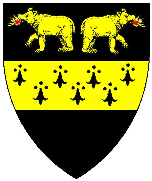 The arms of Johannes von Bern