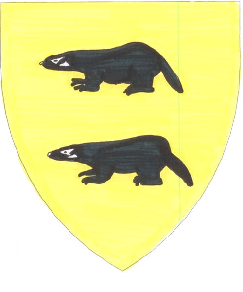 The arms of Stiamna Gruamda