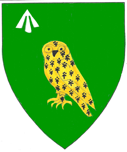 The arms of Sigriðr in irska
